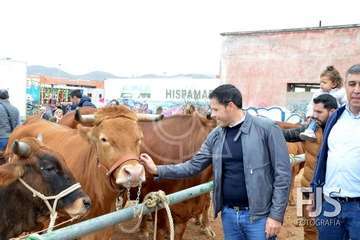 Los Llanos de Telde, en el día grande de sus fiestas patronales de 2019 (Foto Francisco Javier Santana)